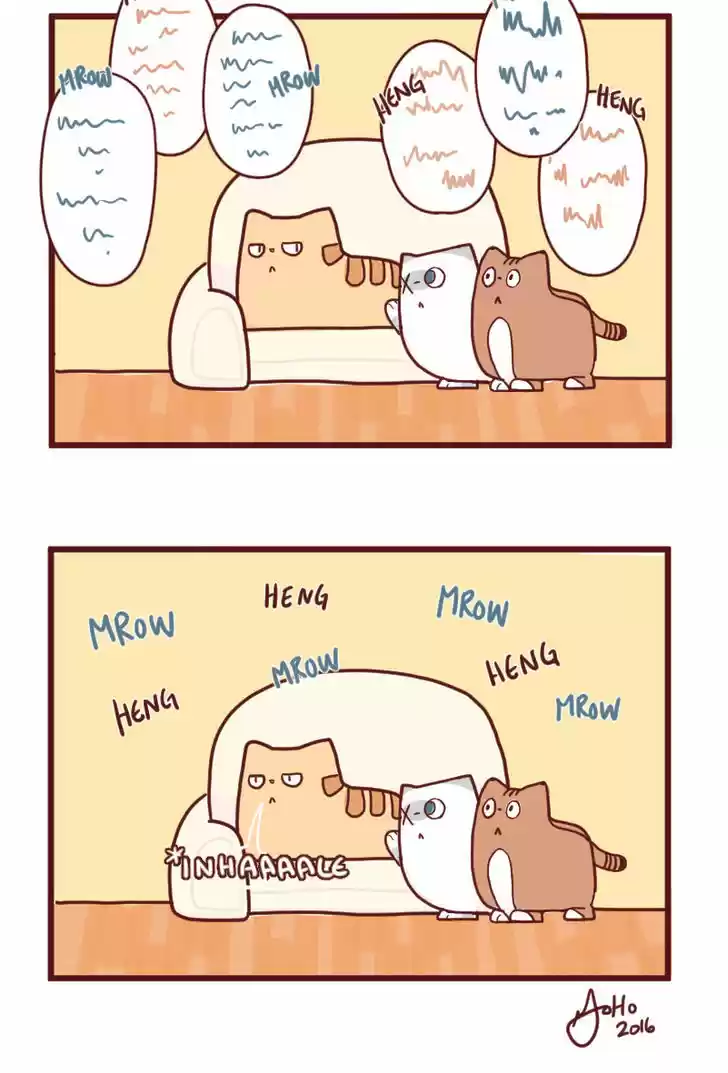 Saphie: The One-Eyed Cat 15