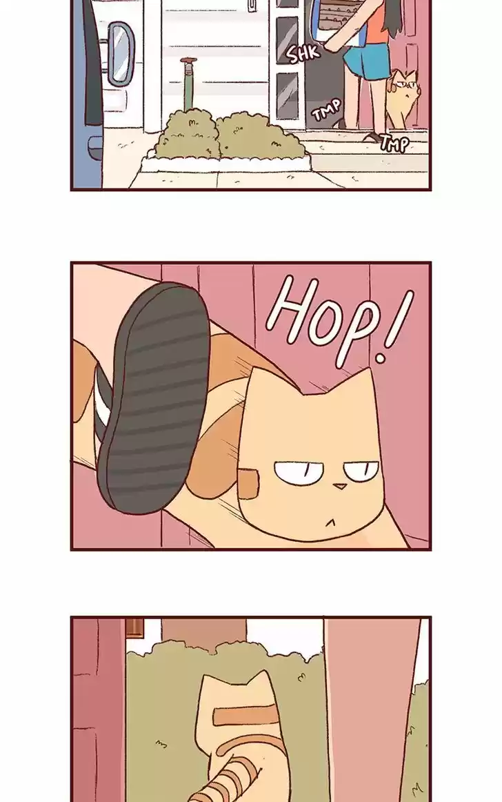 Saphie: The One-Eyed Cat 150