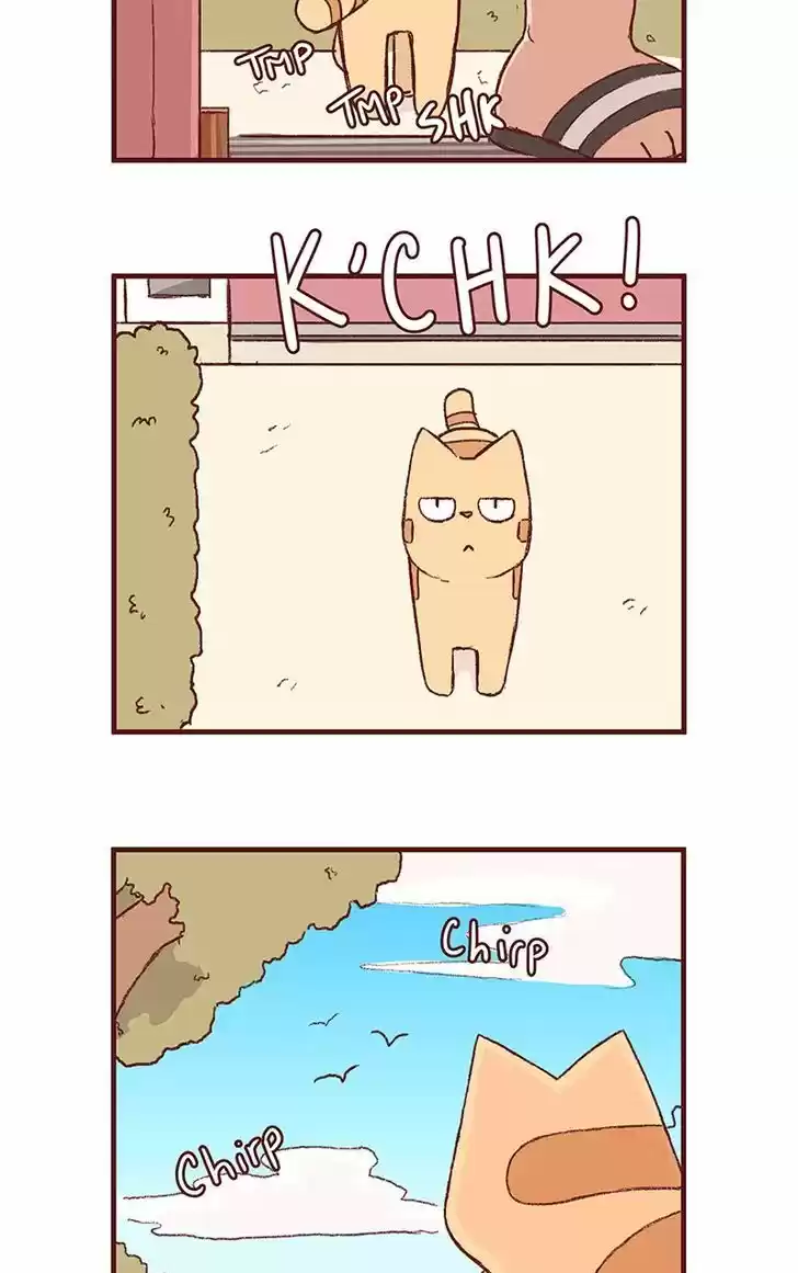 Saphie: The One-Eyed Cat 150