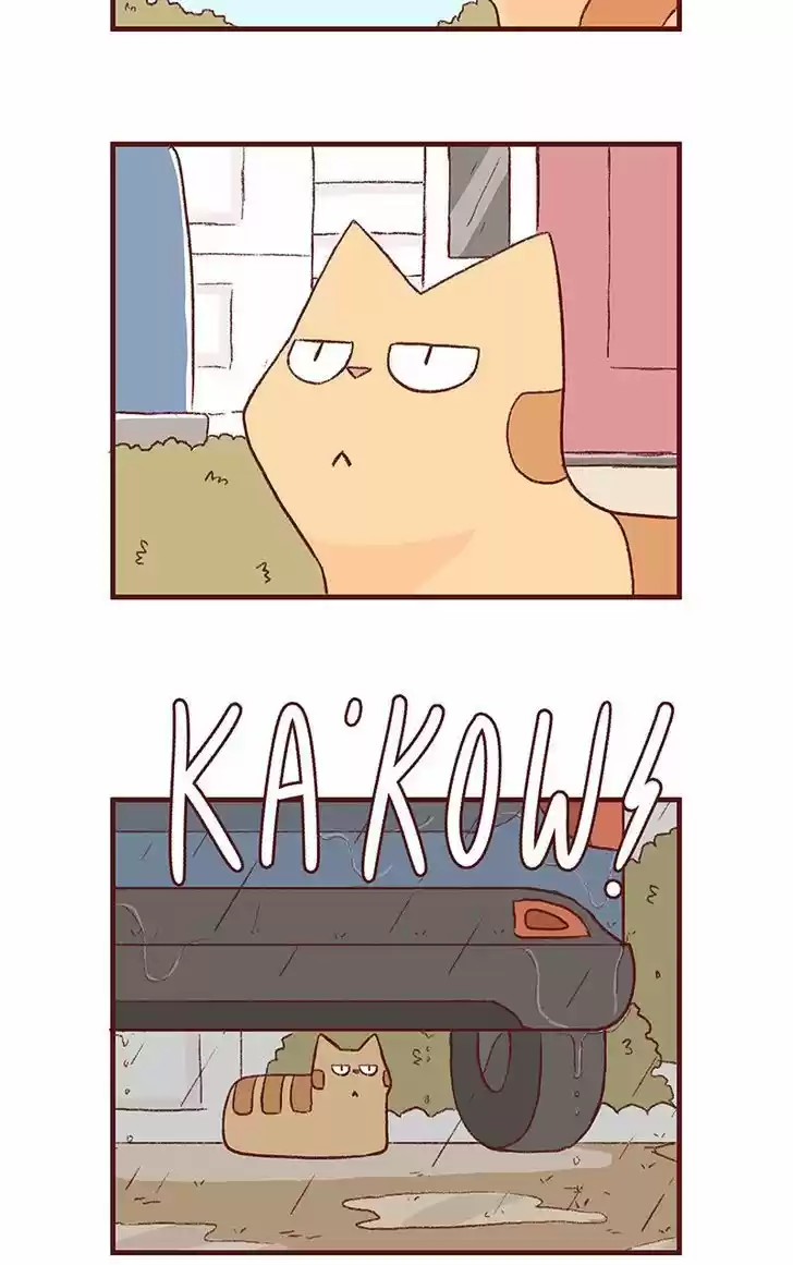 Saphie: The One-Eyed Cat 150