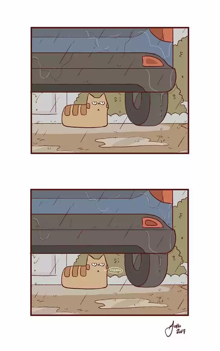 Saphie: The One-Eyed Cat 150