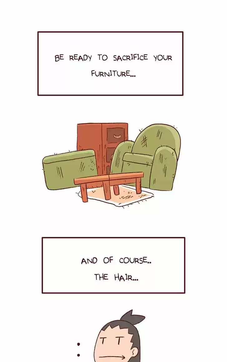 Saphie: The One-Eyed Cat 151