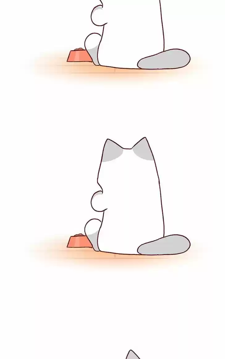 Saphie: The One-Eyed Cat 151