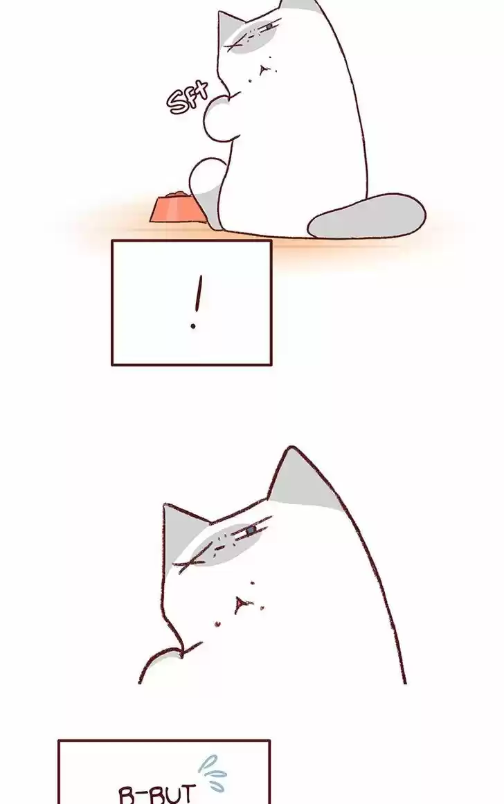 Saphie: The One-Eyed Cat 151