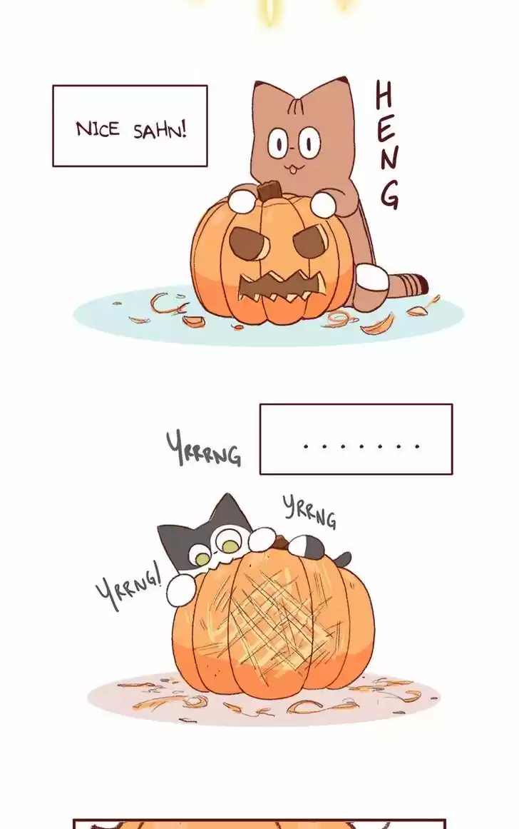 Saphie: The One-Eyed Cat 152