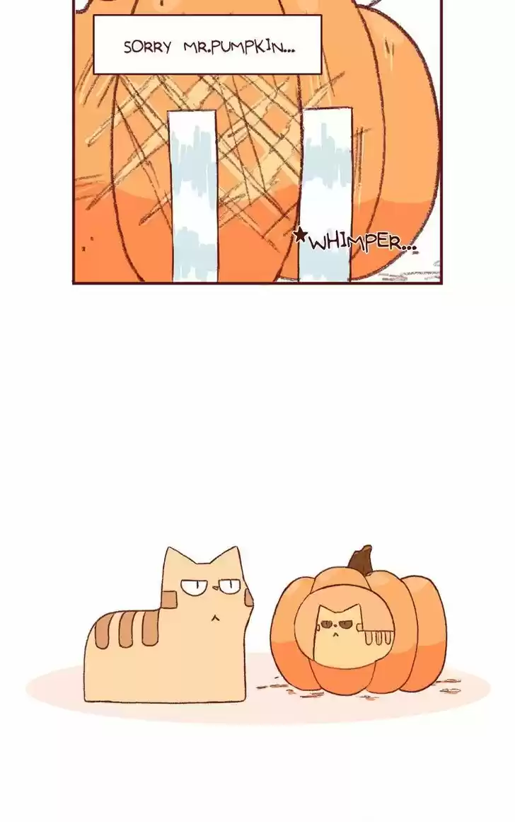 Saphie: The One-Eyed Cat 152