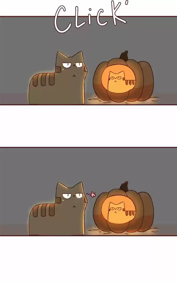 Saphie: The One-Eyed Cat 152