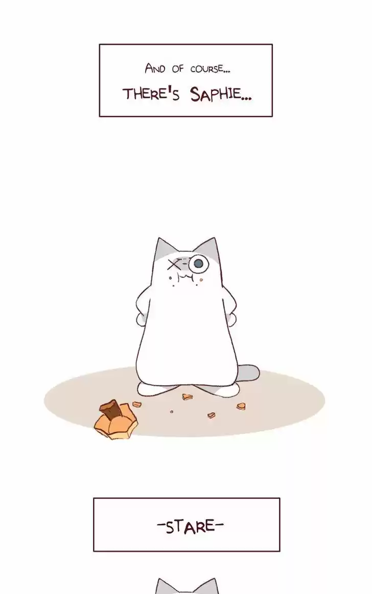 Saphie: The One-Eyed Cat 152