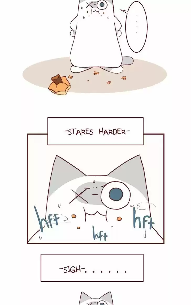 Saphie: The One-Eyed Cat 152