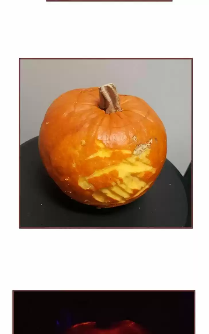 Saphie: The One-Eyed Cat 152