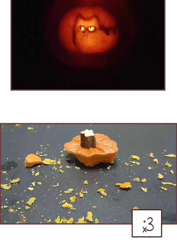 Saphie: The One-Eyed Cat 152