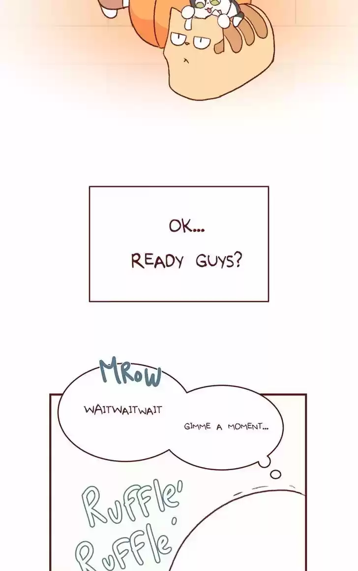 Saphie: The One-Eyed Cat 153