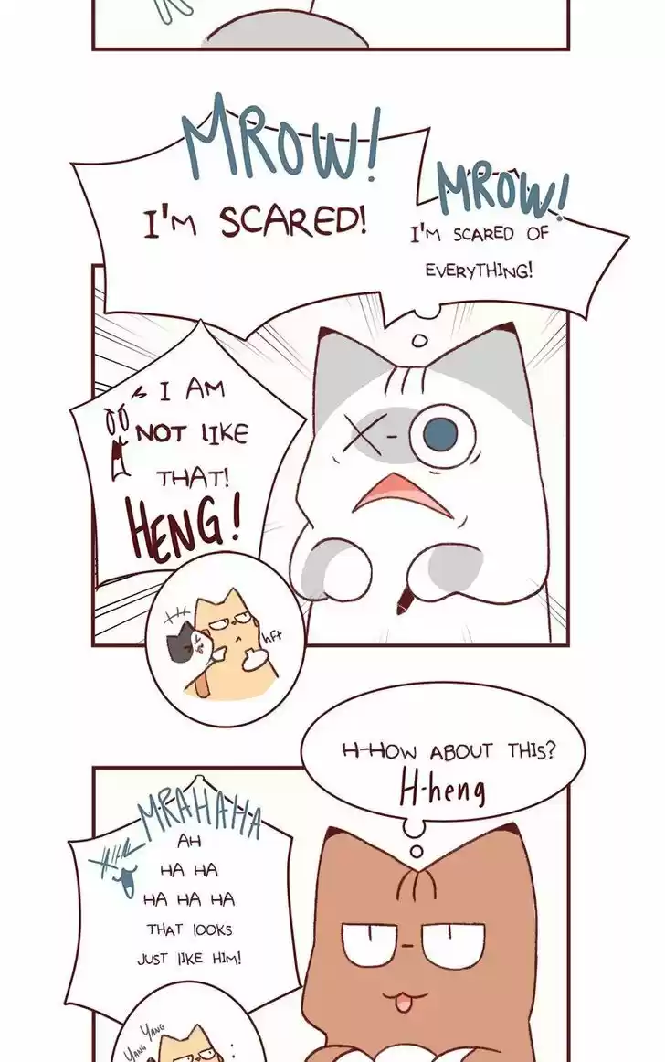 Saphie: The One-Eyed Cat 153