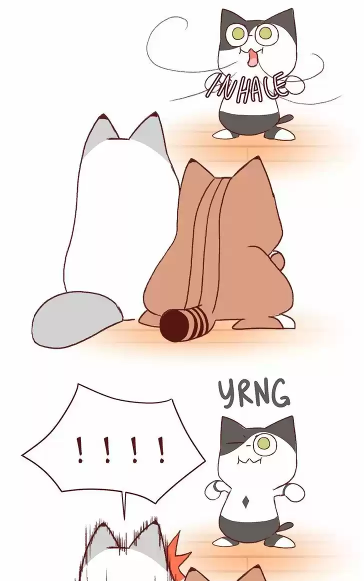 Saphie: The One-Eyed Cat 153