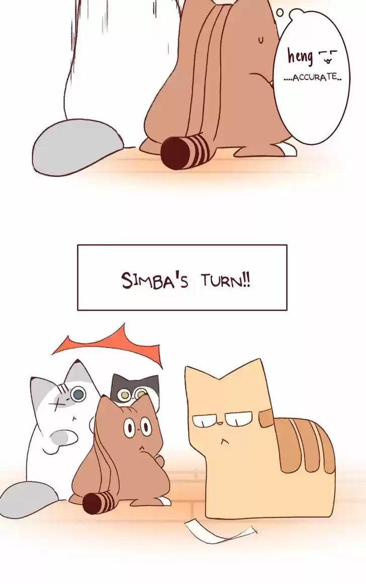 Saphie: The One-Eyed Cat 153