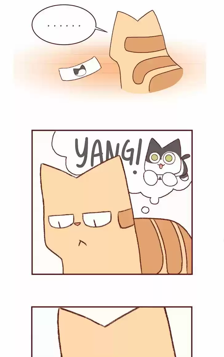 Saphie: The One-Eyed Cat 153