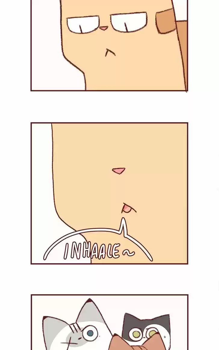 Saphie: The One-Eyed Cat 153