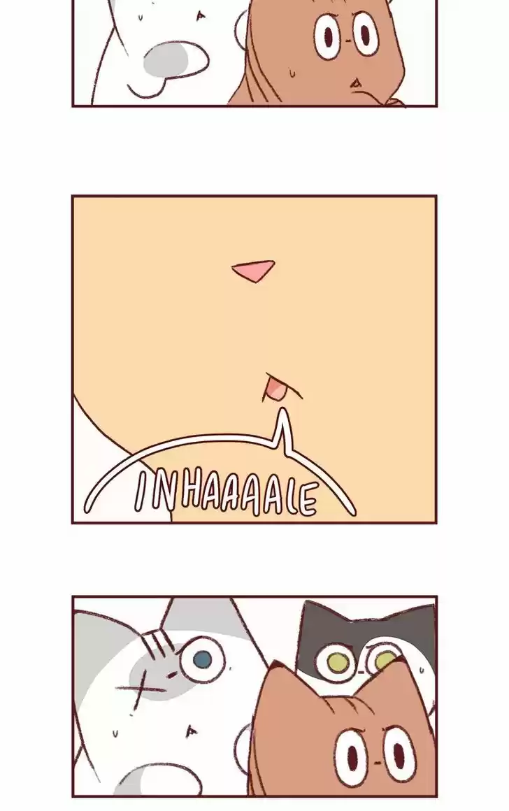 Saphie: The One-Eyed Cat 153