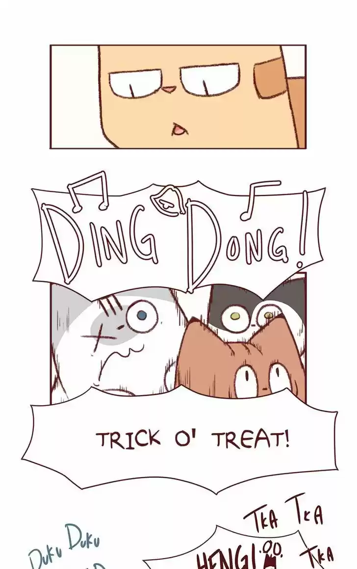 Saphie: The One-Eyed Cat 153