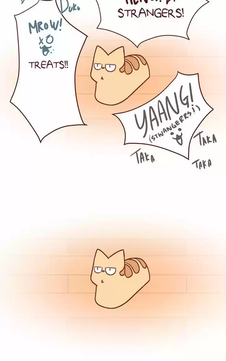 Saphie: The One-Eyed Cat 153