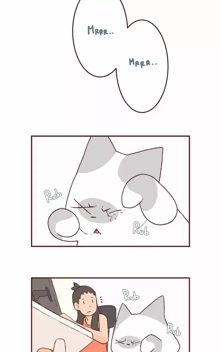 Saphie: The One-Eyed Cat 154