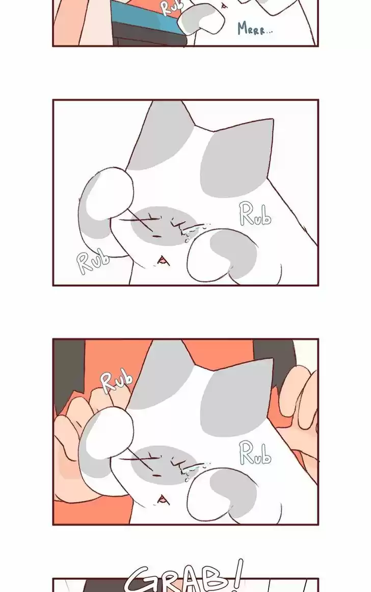 Saphie: The One-Eyed Cat 154