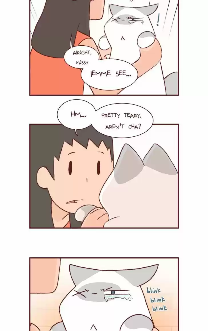 Saphie: The One-Eyed Cat 154