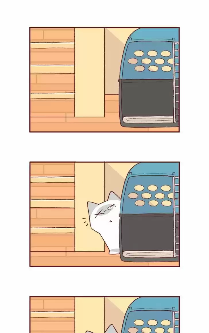 Saphie: The One-Eyed Cat 155