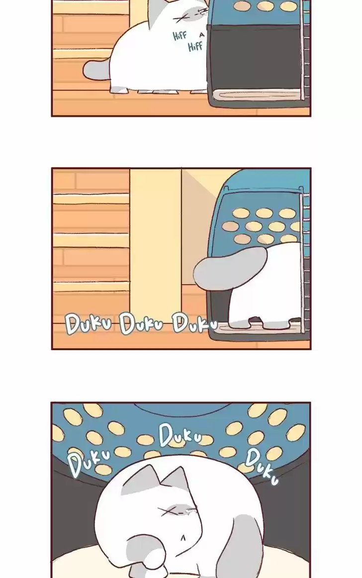 Saphie: The One-Eyed Cat 155