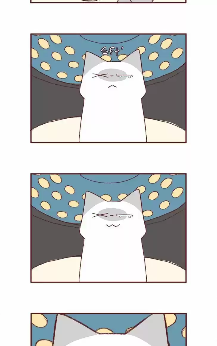 Saphie: The One-Eyed Cat 155