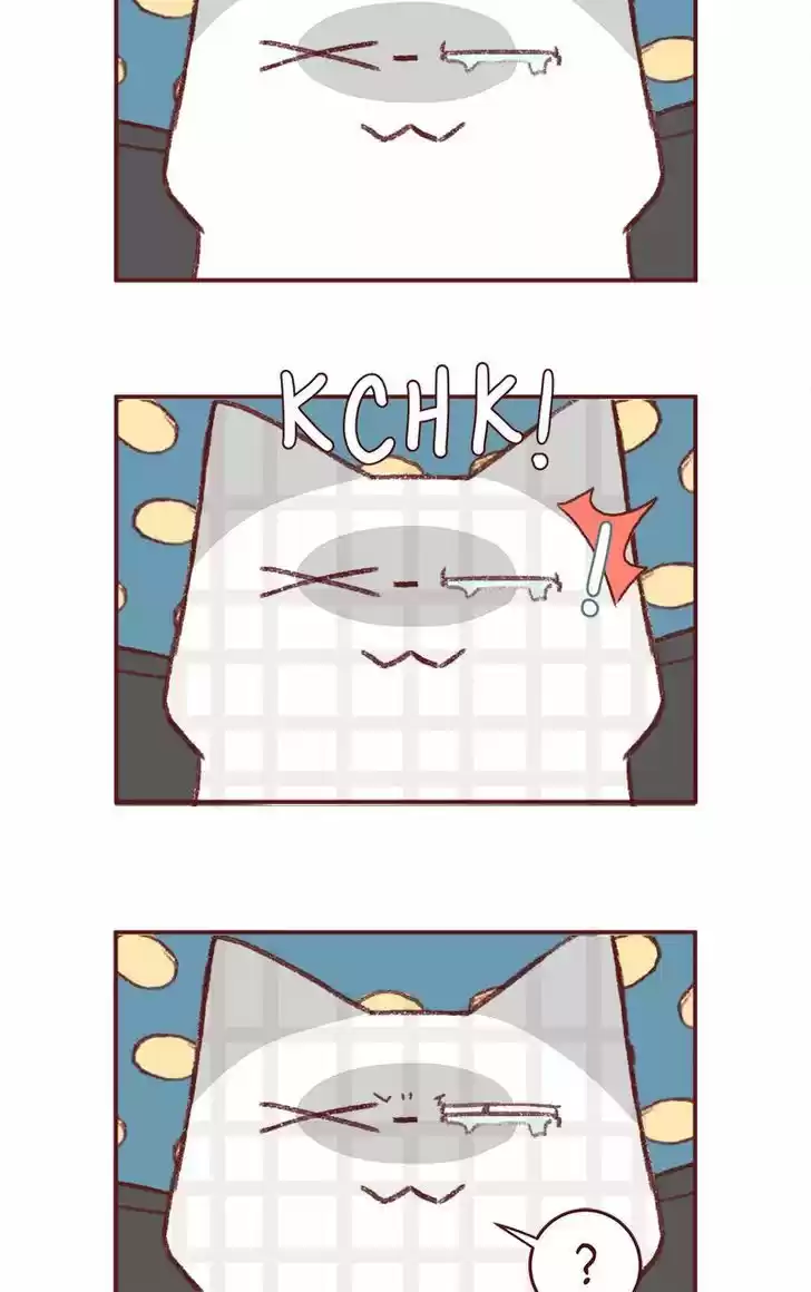 Saphie: The One-Eyed Cat 155