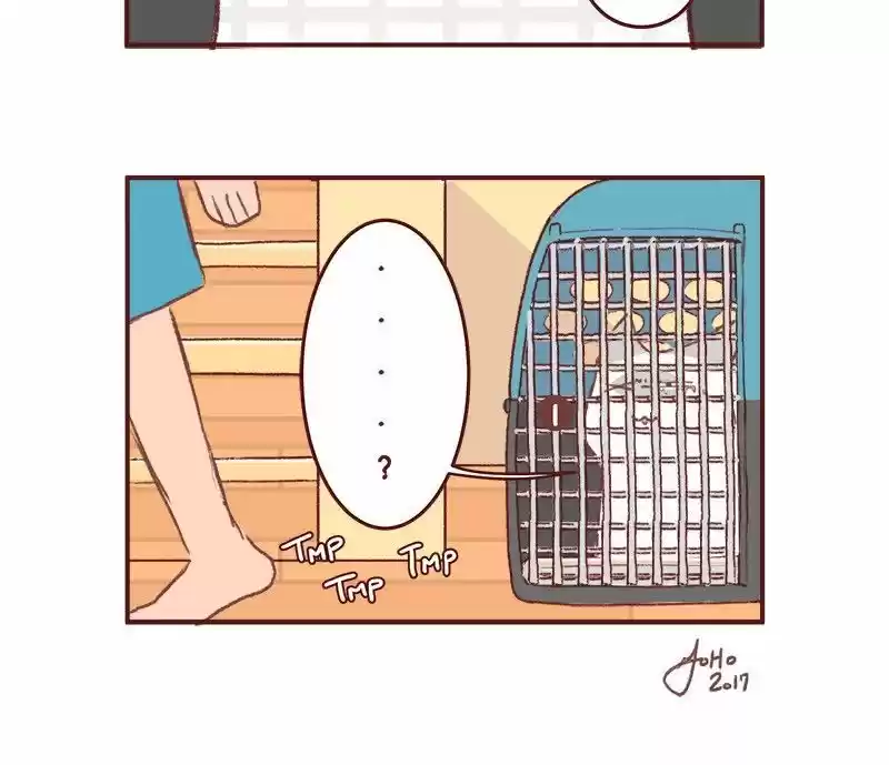 Saphie: The One-Eyed Cat 155