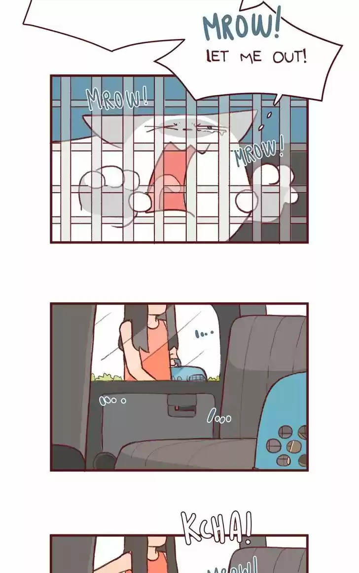 Saphie: The One-Eyed Cat 156