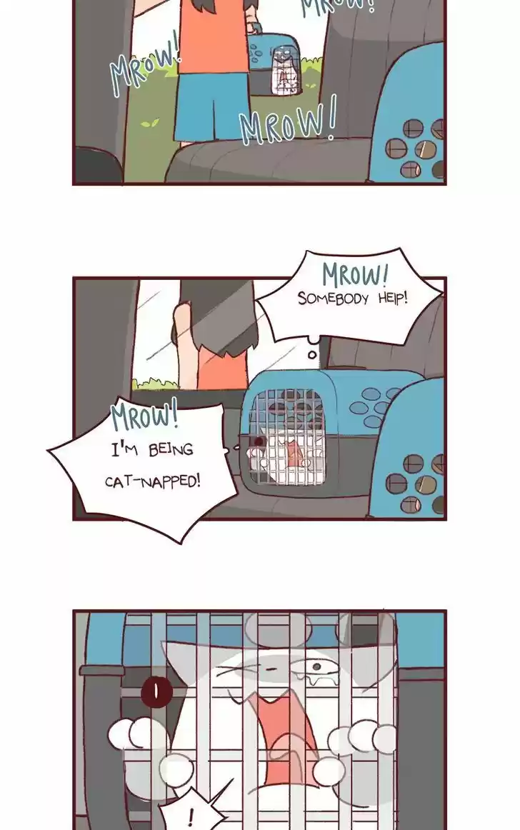 Saphie: The One-Eyed Cat 156