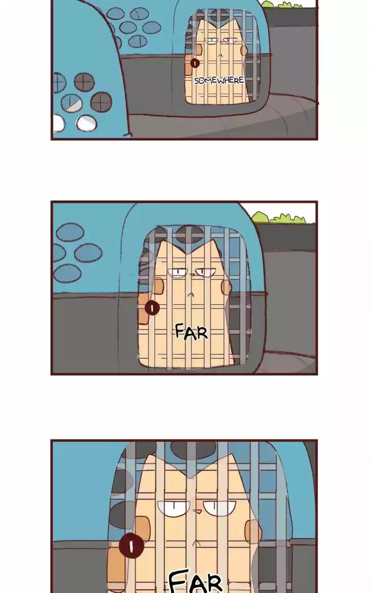 Saphie: The One-Eyed Cat 156