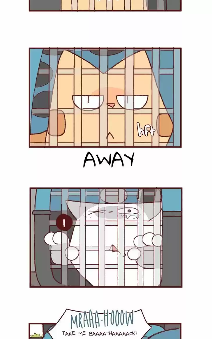 Saphie: The One-Eyed Cat 156