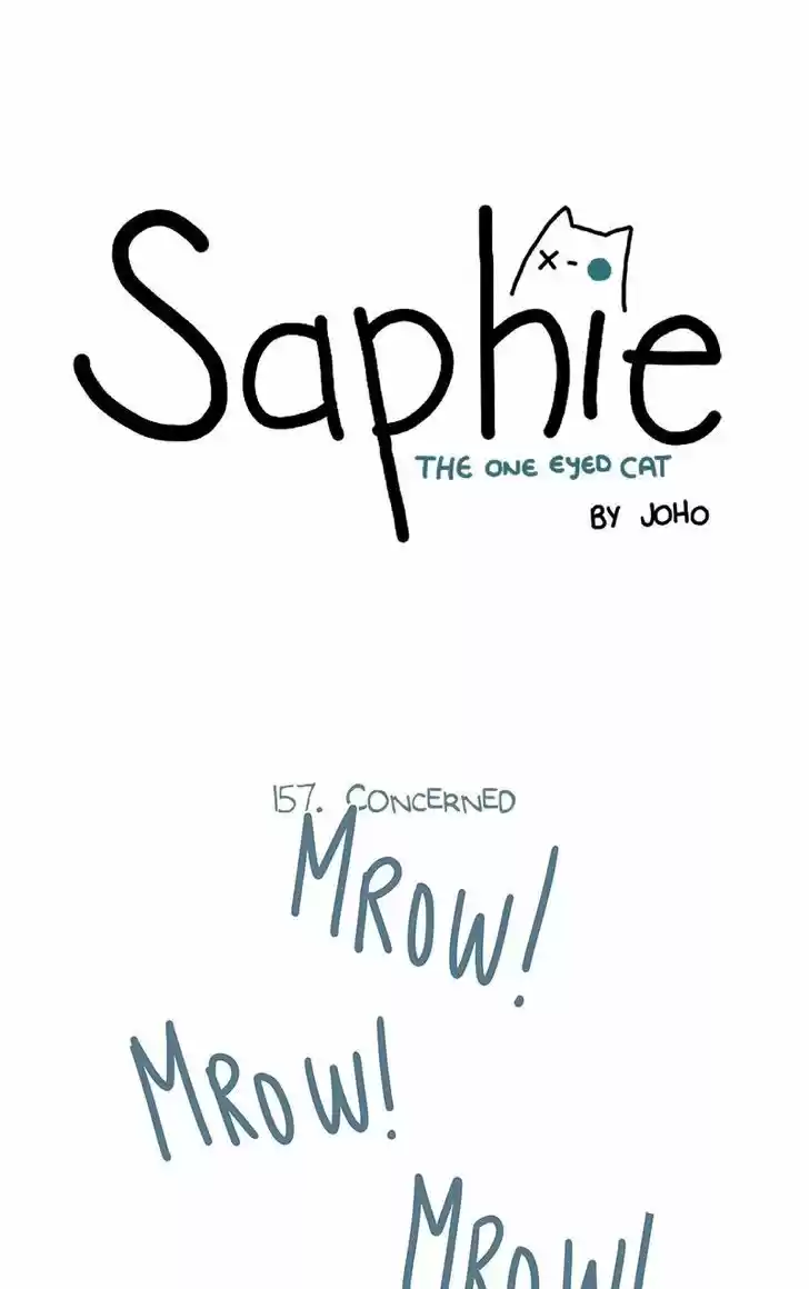 Saphie: The One-Eyed Cat 157