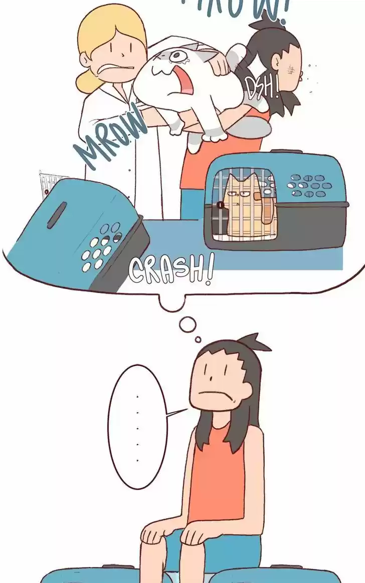 Saphie: The One-Eyed Cat 157