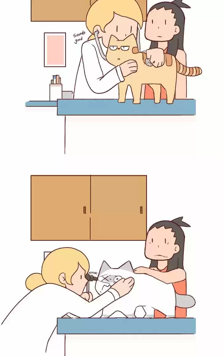 Saphie: The One-Eyed Cat 157