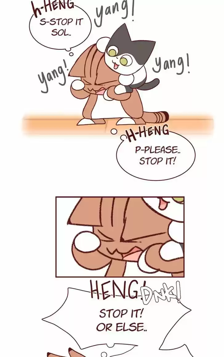 Saphie: The One-Eyed Cat 158