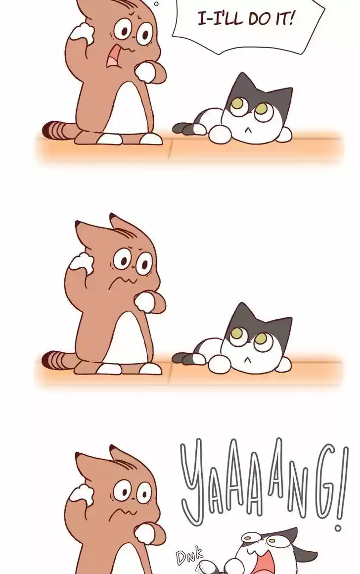 Saphie: The One-Eyed Cat 158