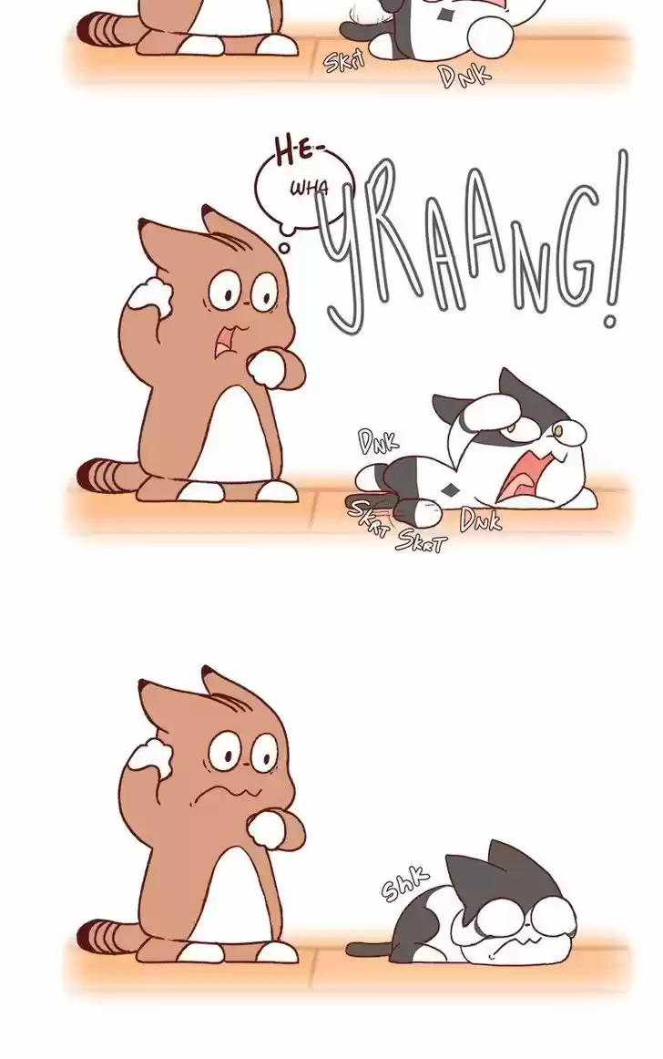 Saphie: The One-Eyed Cat 158