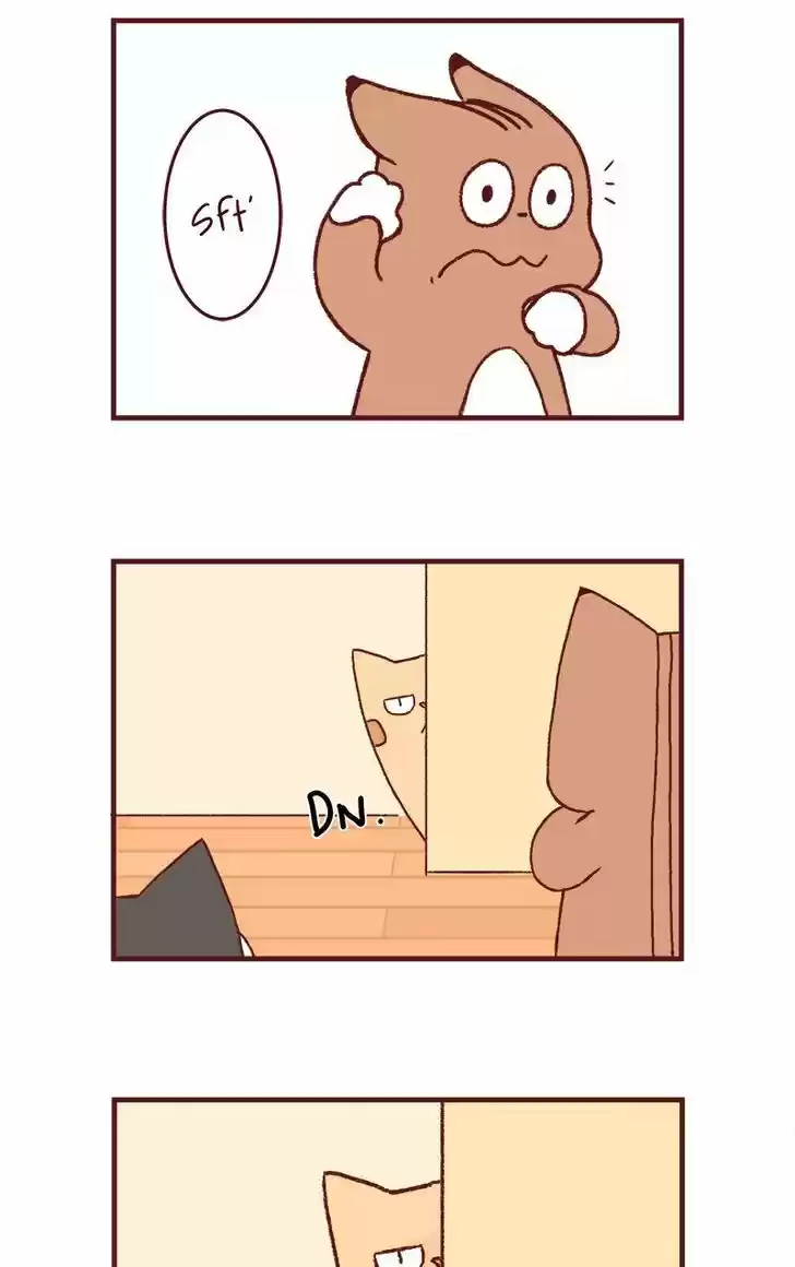 Saphie: The One-Eyed Cat 158