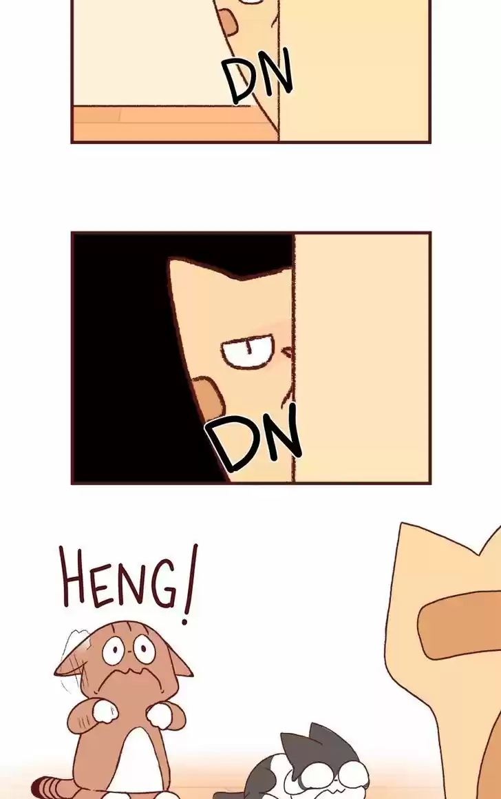 Saphie: The One-Eyed Cat 158