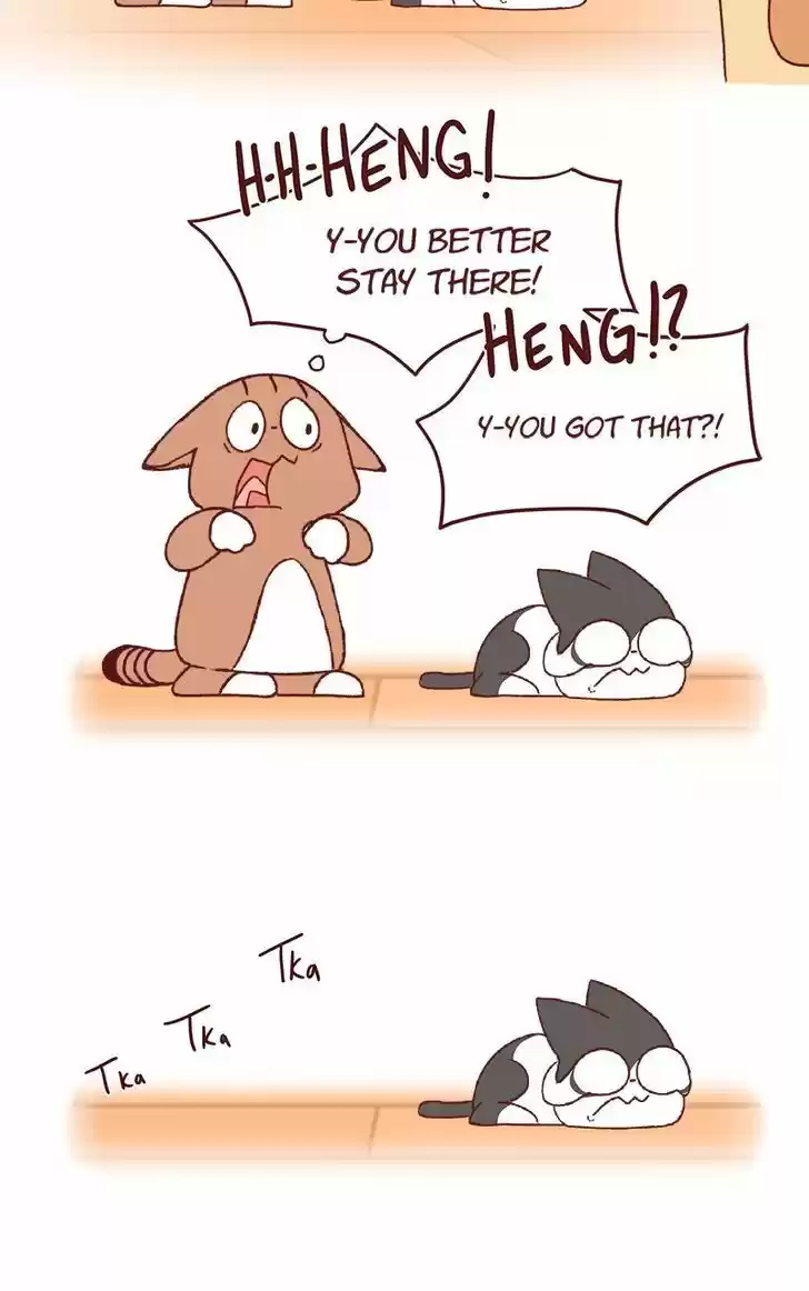 Saphie: The One-Eyed Cat 158