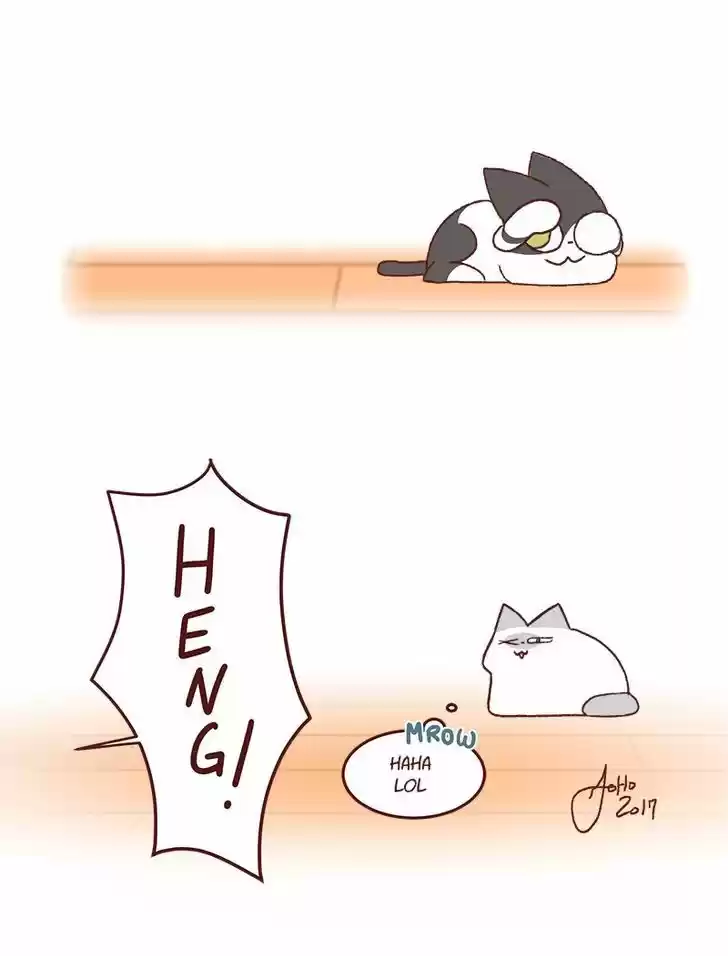 Saphie: The One-Eyed Cat 158