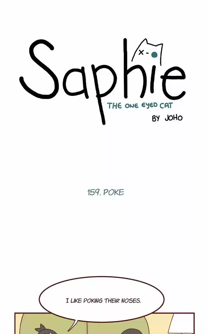 Saphie: The One-Eyed Cat 159