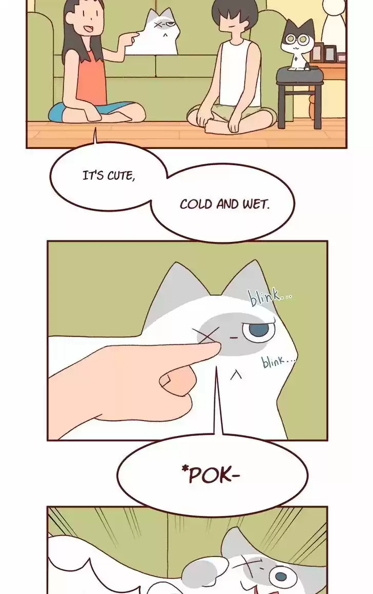 Saphie: The One-Eyed Cat 159