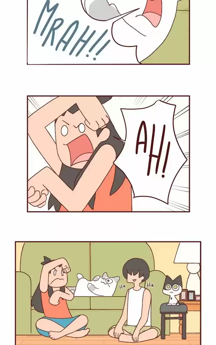 Saphie: The One-Eyed Cat 159