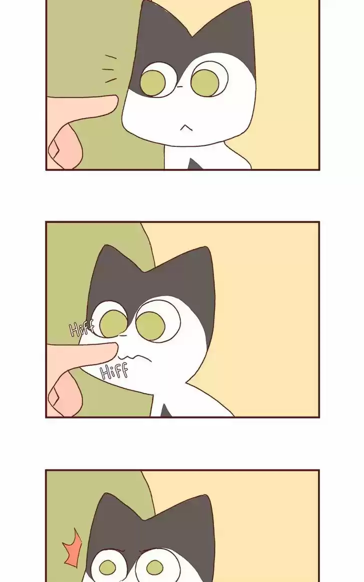 Saphie: The One-Eyed Cat 159